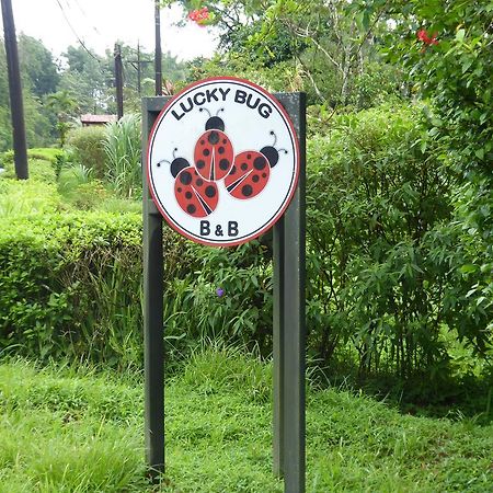 Lucky Bug Bed And Breakfast Nuevo Arenal Exterior photo