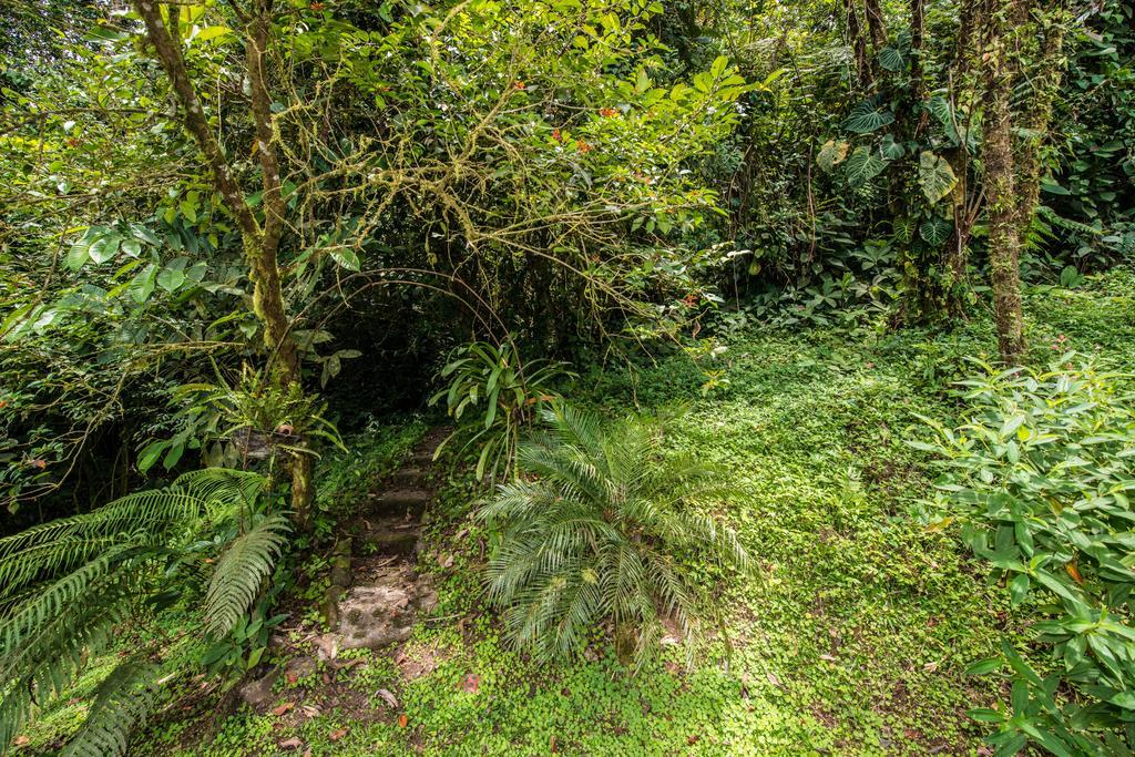 Lucky Bug Bed And Breakfast Nuevo Arenal Exterior photo