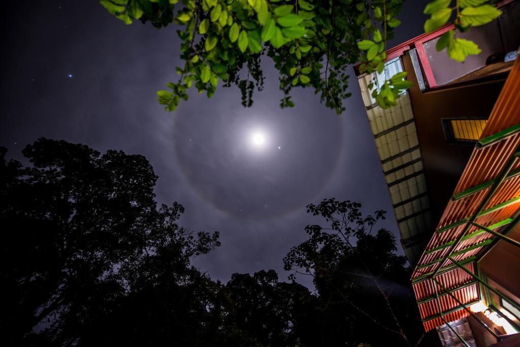 Lucky Bug Bed And Breakfast Nuevo Arenal Exterior photo