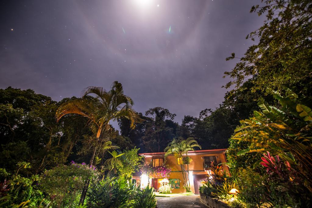 Lucky Bug Bed And Breakfast Nuevo Arenal Exterior photo