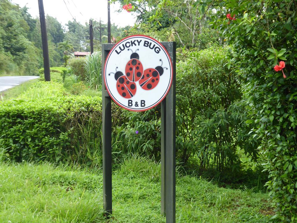 Lucky Bug Bed And Breakfast Nuevo Arenal Exterior photo