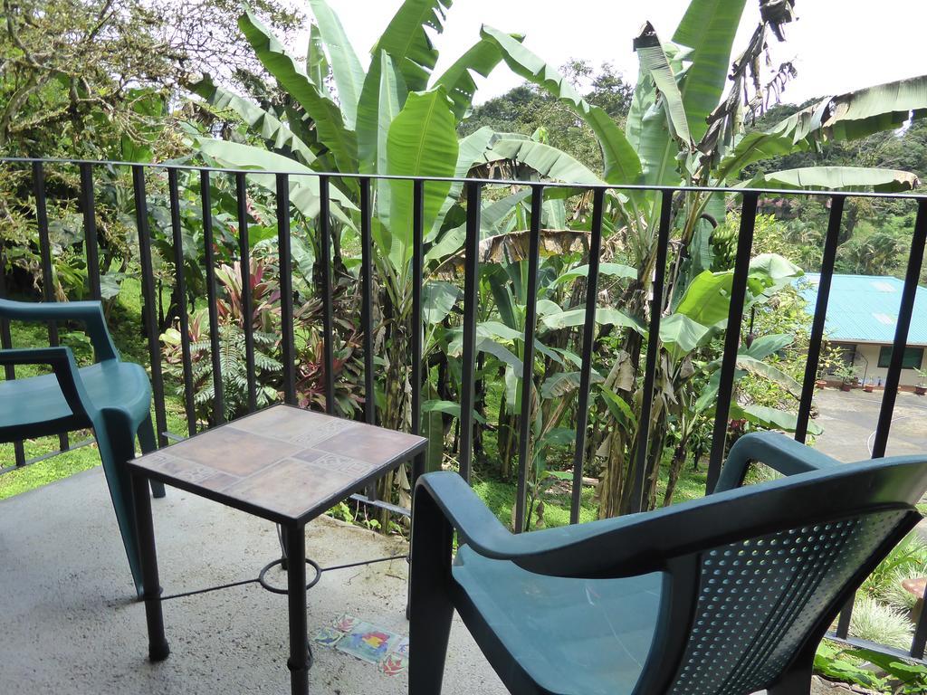 Lucky Bug Bed And Breakfast Nuevo Arenal Room photo