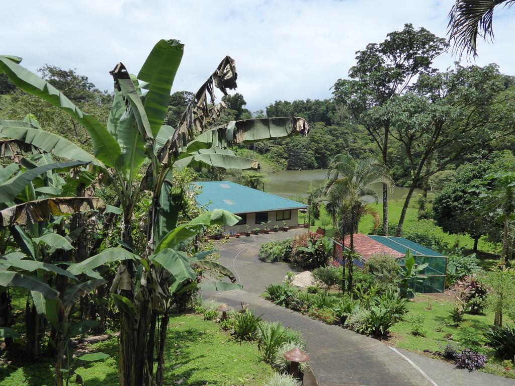Lucky Bug Bed And Breakfast Nuevo Arenal Room photo