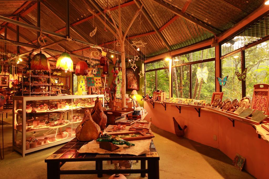 Lucky Bug Bed And Breakfast Nuevo Arenal Exterior photo