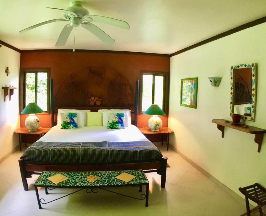 Lucky Bug Bed And Breakfast Nuevo Arenal Exterior photo